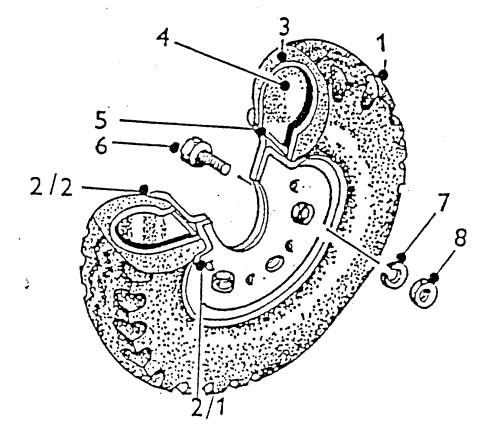 Kolo kompl. 4.00-8